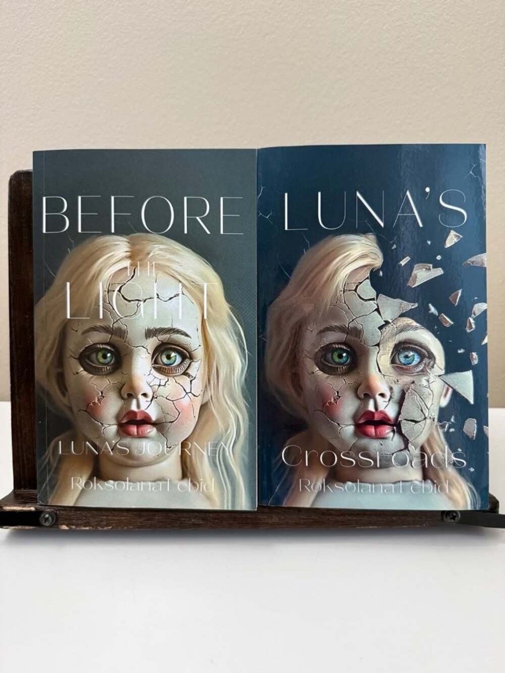 Before the Light & Luna’s Crossroads Set R Lebid Dark Romance Books